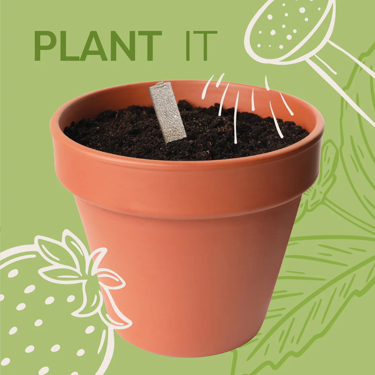 Bee Seedsticks® - Image 4